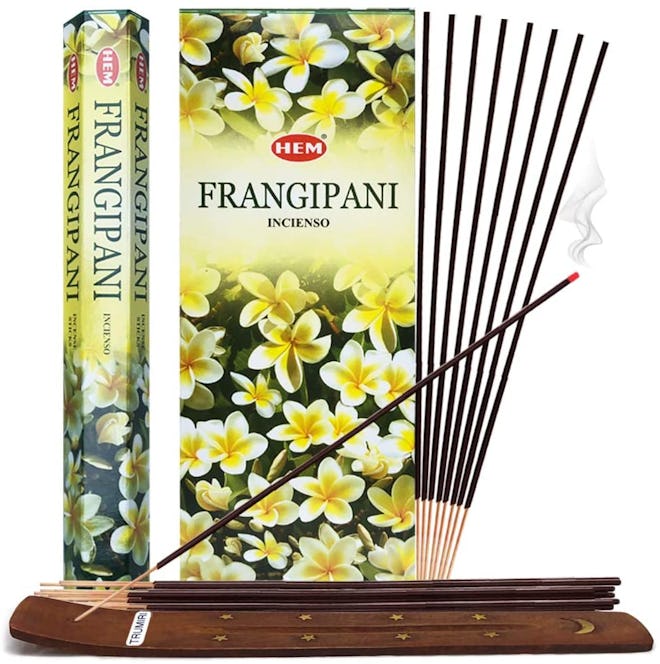 TRUMIRI Hem Frangipani Incense Sticks & Stick Holder (120 Sticks) 