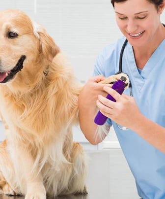 Hertzko Electric Painless Dog Nail Grinder 
