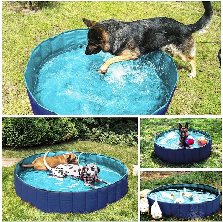 Fuloon PVC Portable Foldable Pet Swimming Pool 