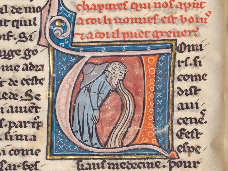 ‘Le Régime du corps’ described a variety of ways to maintain health by keeping the body in balance.