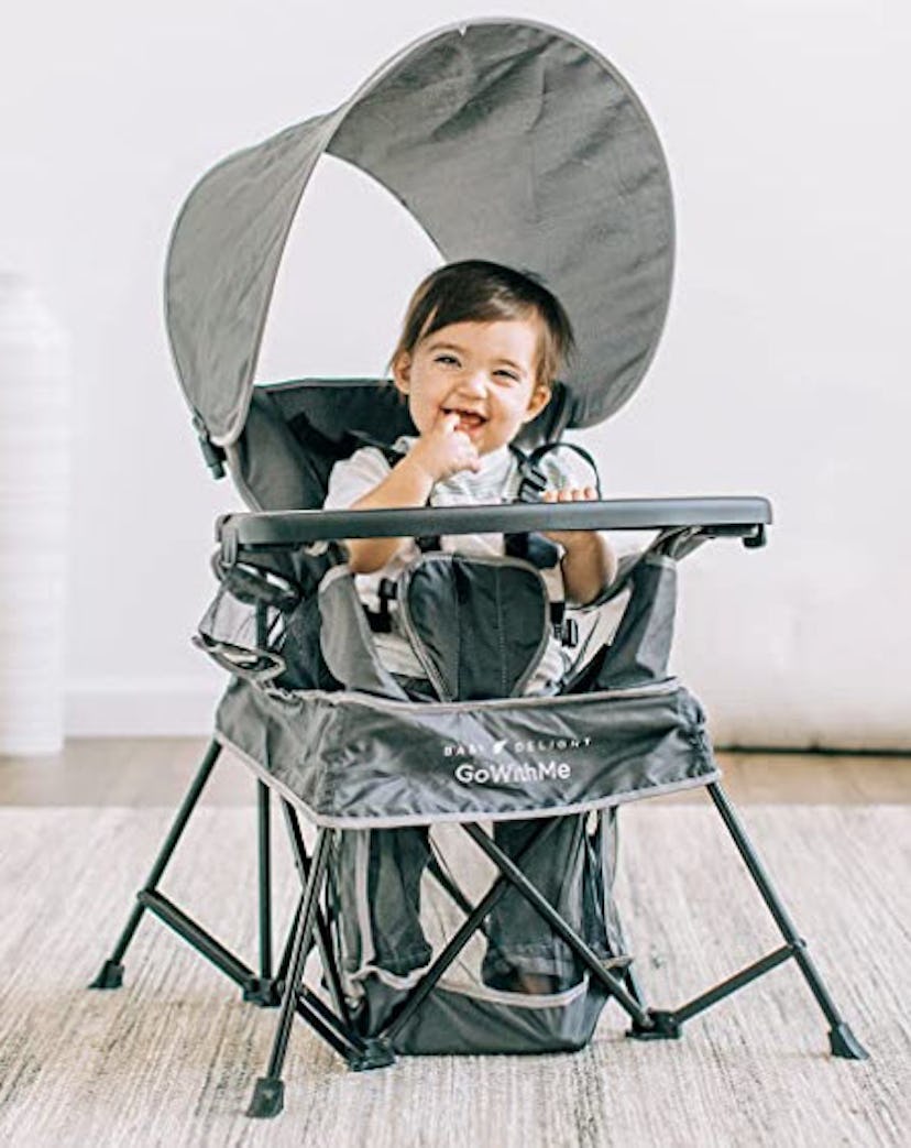 Baby Delight Go with Me Venture Chair