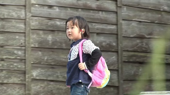 Long-running Japanese reality show 'Old Enough' follows children as young as 2 as they attempt a ser...