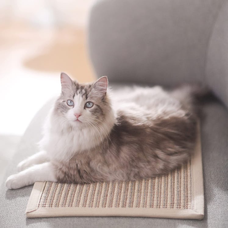 FUKUMARU Cat Scratcher Mat