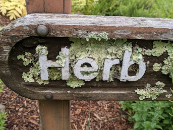 lichen on a sign that says Herb