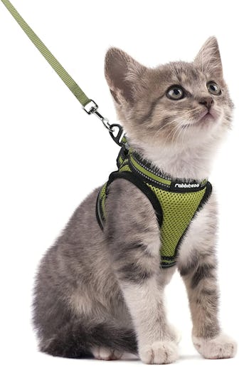 Rabbitgoo Cat Harness & Leash Set 