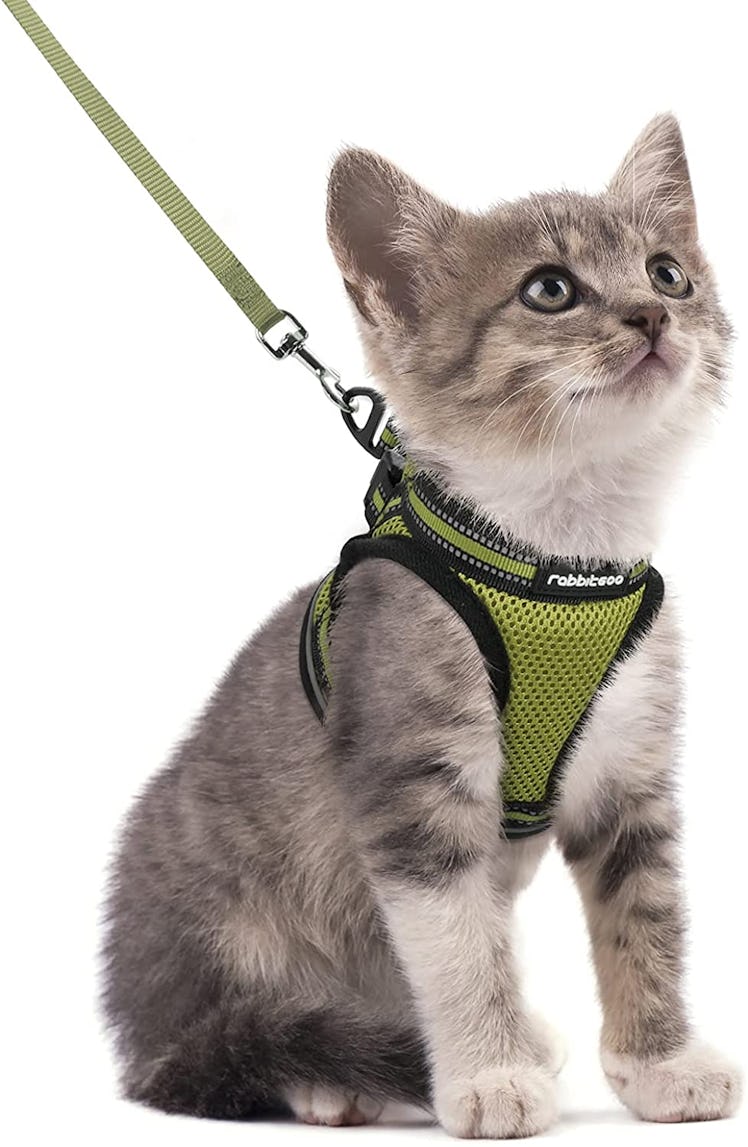 Rabbitgoo Cat Harness & Leash Set 