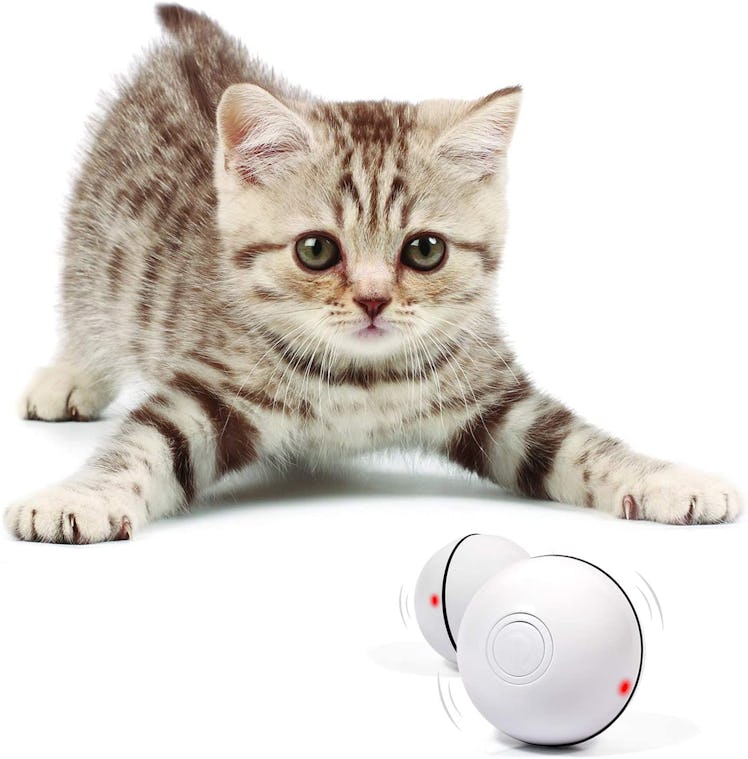 YOFUN Smart Rotating Ball Cat Toy 