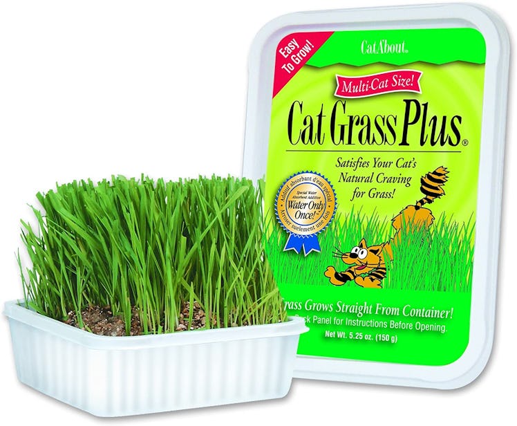 Cat-A'bout CatGrass Plus Tub