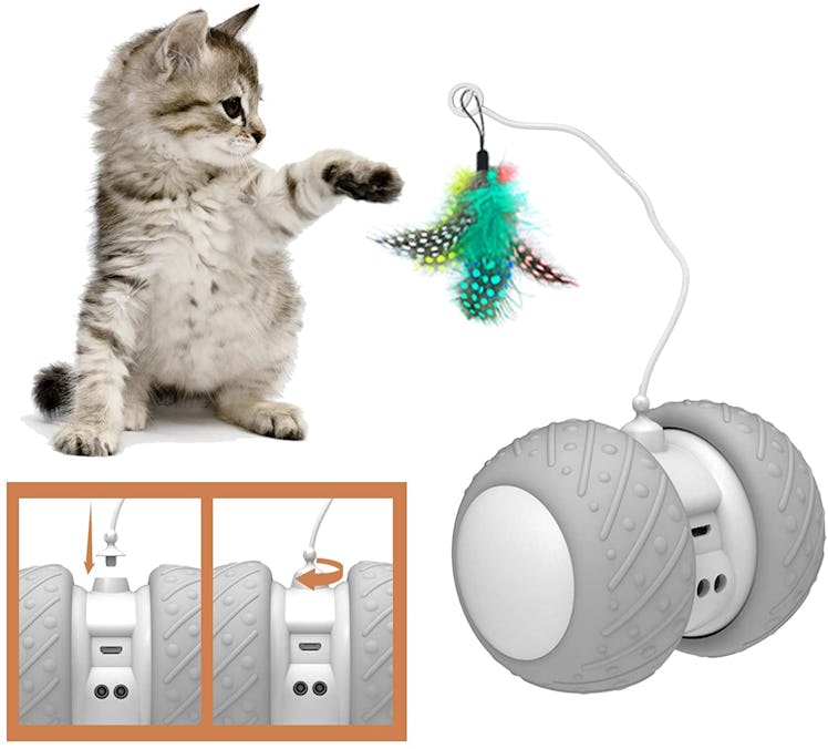 BENTOPAL Interactive Cat Feather Toy