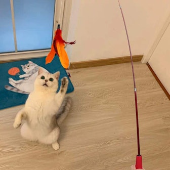 MeoHui Retractable Cat Wand Toy