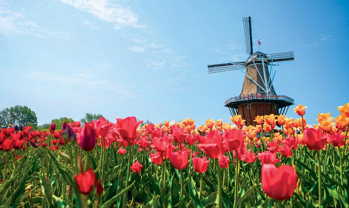 Where To See Spring & Summer Wildflowers Across The United States