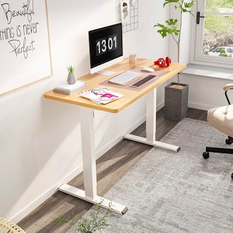 FlexiSpot EC1 electric standing desk