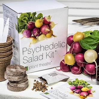 Plant Theatre Psychedelic Salad Kit