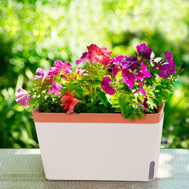 Amazing Creation Self-Watering Window Planter (3-Pack)