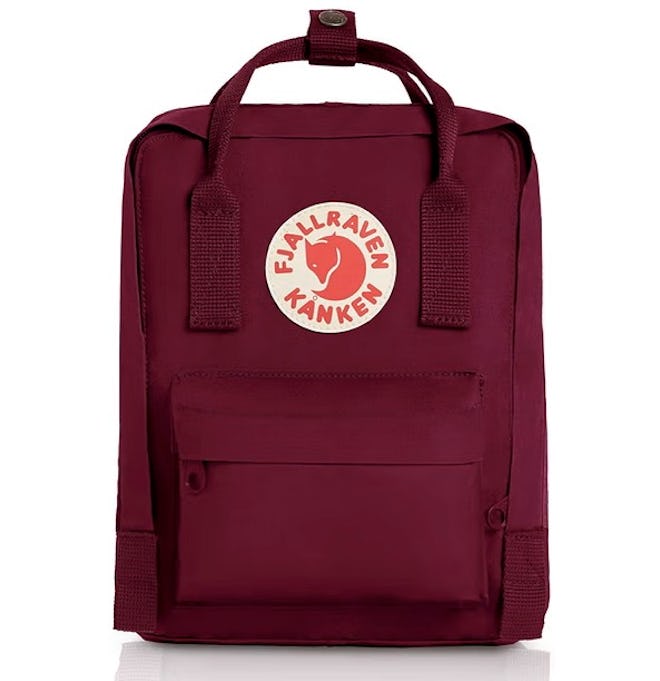 Best Classic Mini Travel Backpack For Women
