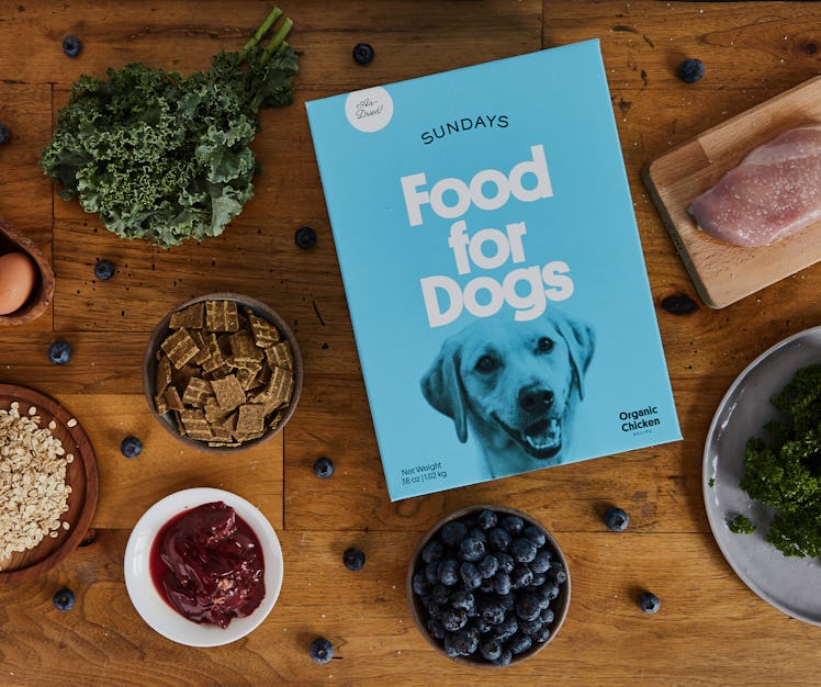 Get Your Pup's Personalized Meal Plan