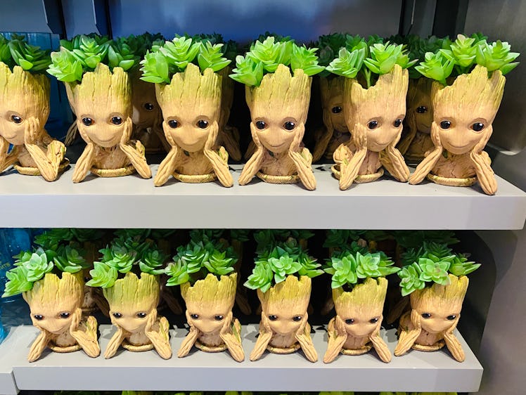 Disney World has new merch that includes Groot from 'Guardians of the Galaxy.'