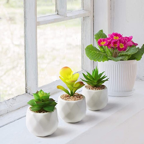 Mocoosy Mini Artificial Succulent Plants (4-Pack)