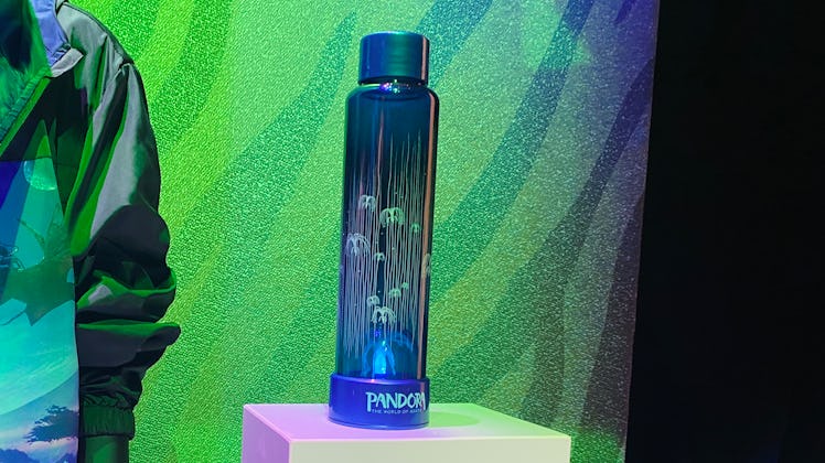Disney World has new merch that includes 'Avatar' water bottles. 