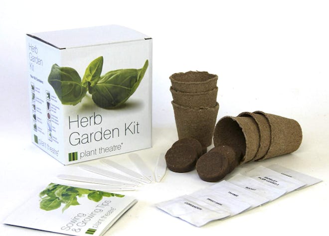 Plant Theatre Herb Garden Kit 