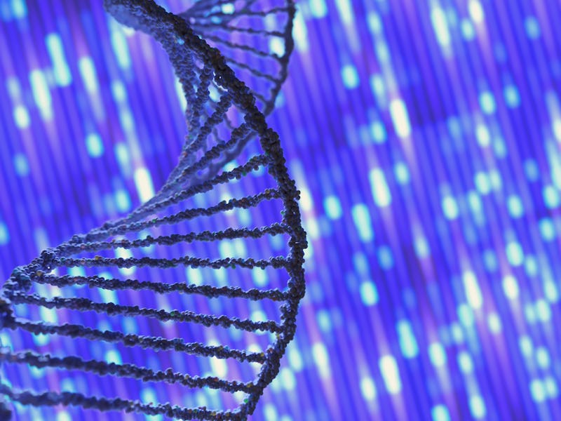 Gene sequencing DNA technology