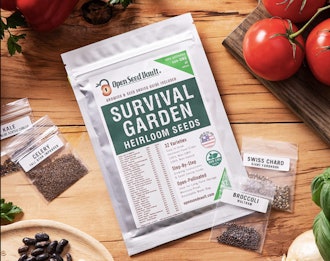 Open Seed Vault (32) Variety Pack Survival Gear Food Seeds