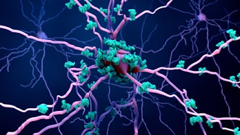 Proteins accumulating on a brain cell.