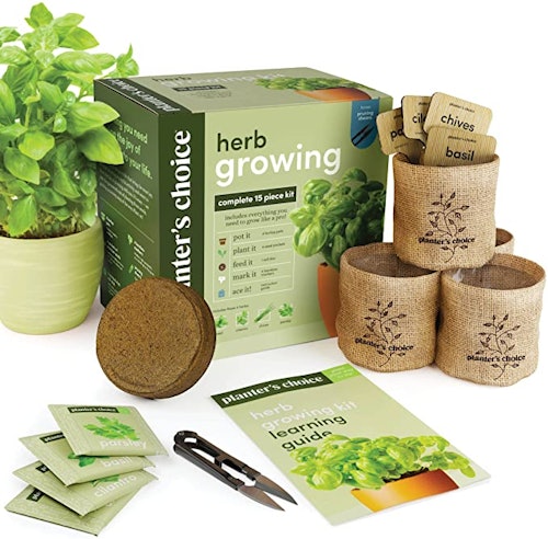 Planters' Choice Indoor Herb Garden Starter Kit 