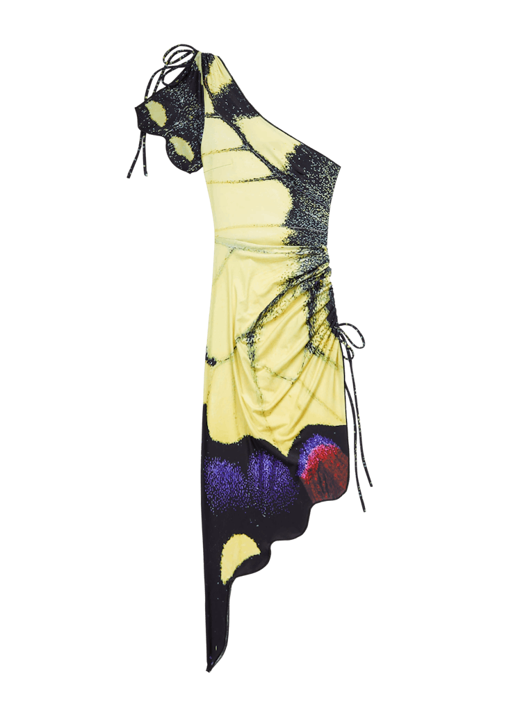 Tyler McGillivary butterfly dress