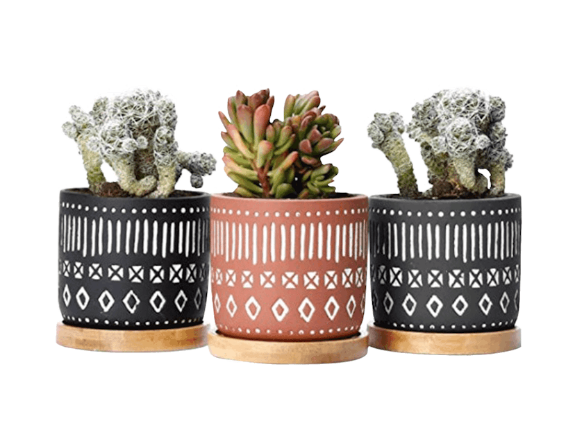 POTEY Cement Succulent Planter Pots (Set Of 3)