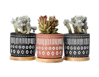 POTEY Cement Succulent Planter Pots (Set Of 3)