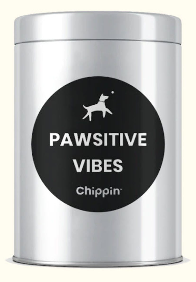 Pawsitive Vibes Tin