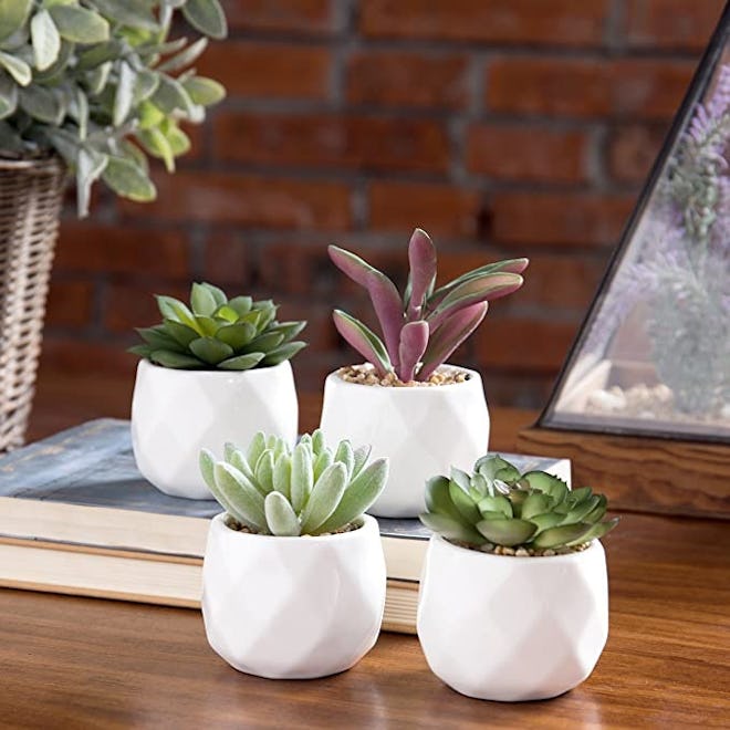 MyGift Miniature Artificial Succulents (Set of 4)