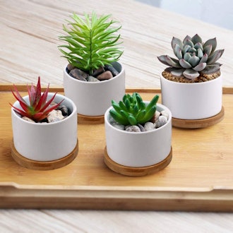 ZOUTOG White Mini Ceramic Succulent Planter Pot Set, 3.15 Inch (4-Pack)