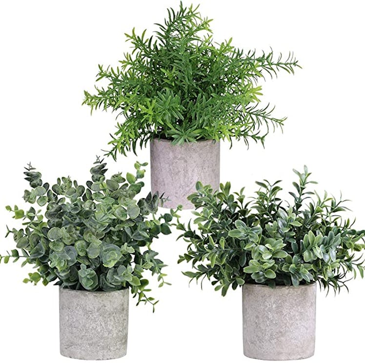 These artificial plants are under-$35 items on Amazon that'll make your bedroom look more expensive....