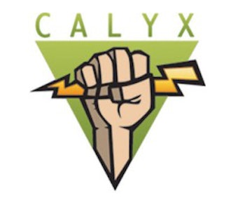 Calyx Institute