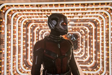 Paul Rudd as Scott Lang in 2018’s Ant-Man and the Wasp