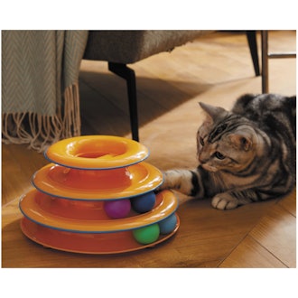 Petstages Catnip Chase Track Green Interactive Cat Toy