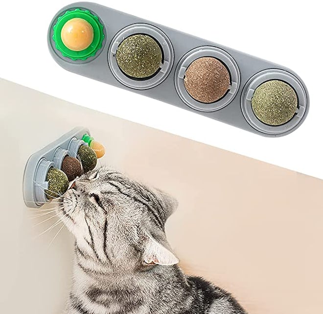 Potaroma Catnip Wall Toy (4 Pieces)