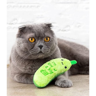 Petstages Crunchy Pickle Kicker Dental Catnip Cat Toy