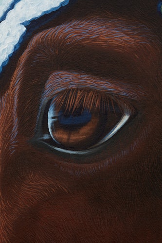 A Sarah Miska painting of a horse's eye
