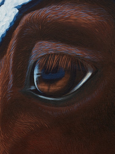 A Sarah Miska painting of a horse's eye