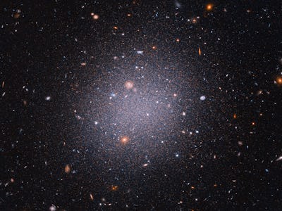 A Hubble image of the dark-matter-free galaxy DF2. 