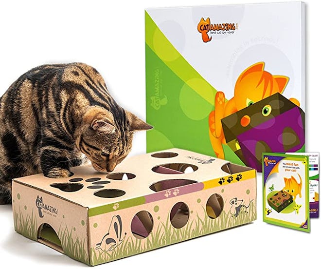 best cat puzzle feeder box