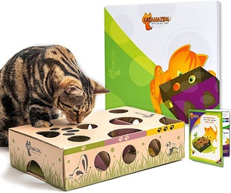 best cat puzzle feeder box