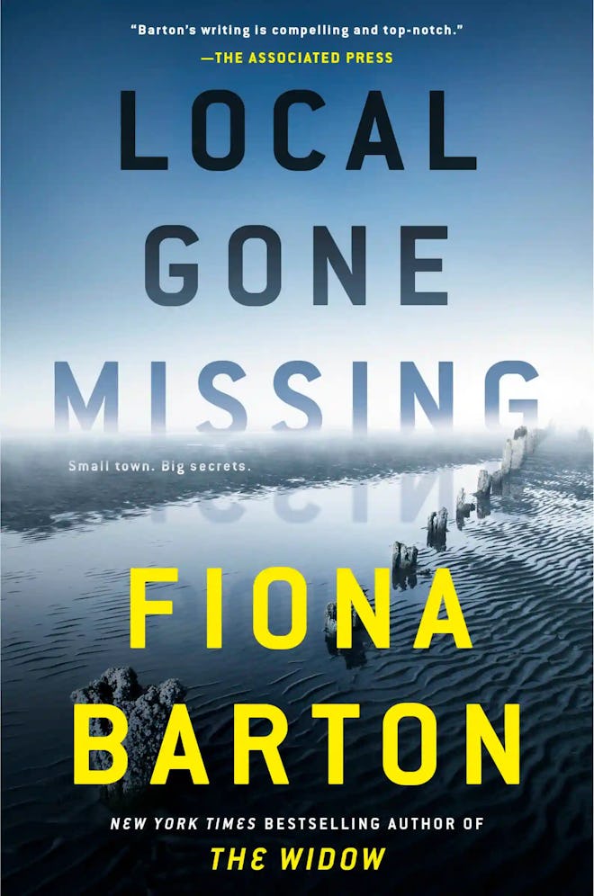 ‘Local Gone Missing’ by Fiona Barton