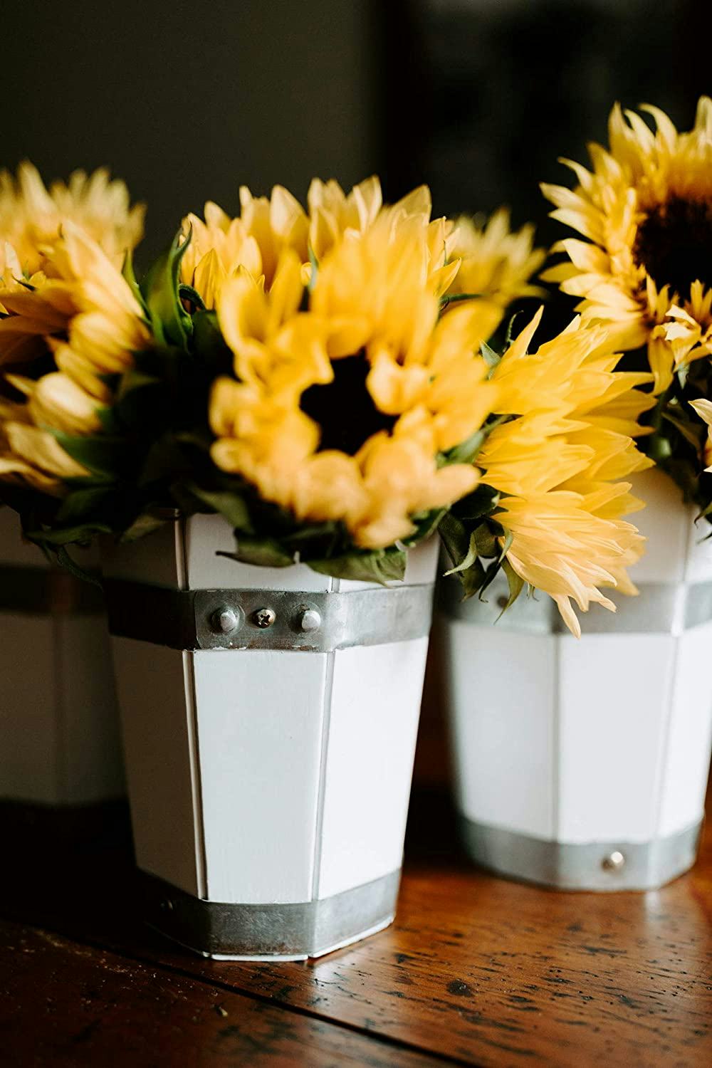 Thirteen Chefs White Flower Pot (Set of 5)