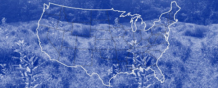 A blue-tinted map of the United States