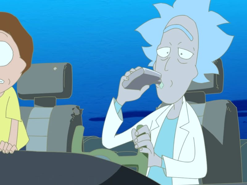 rick and morty the anime