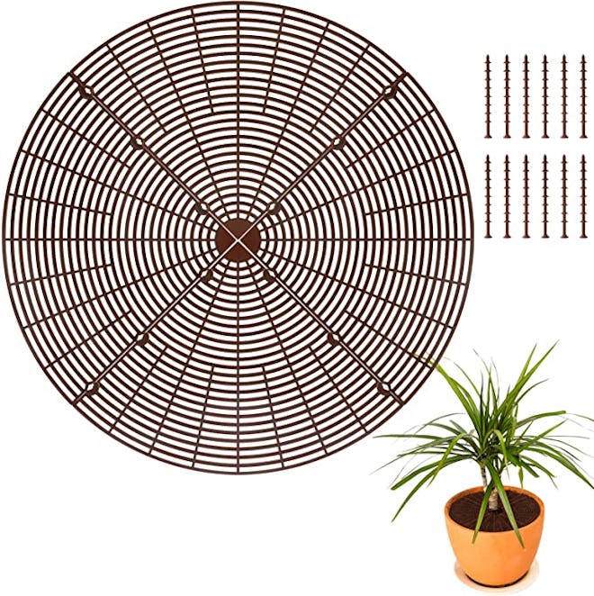 ANPHSIN Plant Pot Grid (3-Pack)